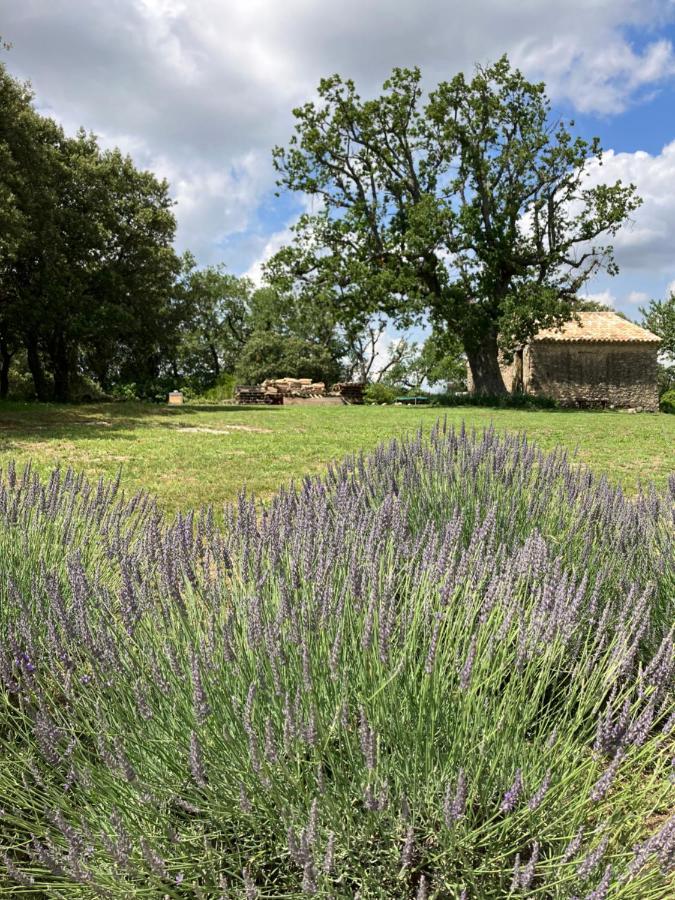 Вілла La Bastide Des Roman Vernegues Екстер'єр фото